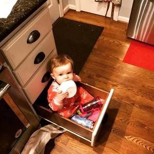 Meet your Posher, Noah